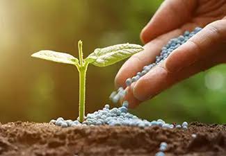 Rainbow Crop Science